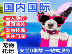 龙湾机场邮寄国际宠物托运 【国